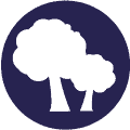 tree-blue-icon