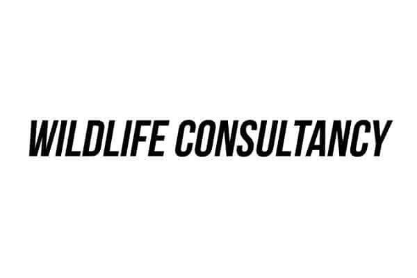 Bell-Access-Projects-Wildlife-Consultancy